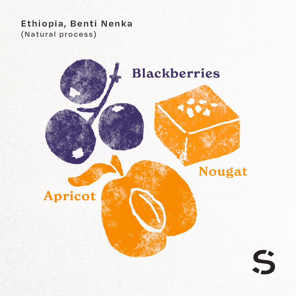 Ethiopia, Benti Nenka (Natural)