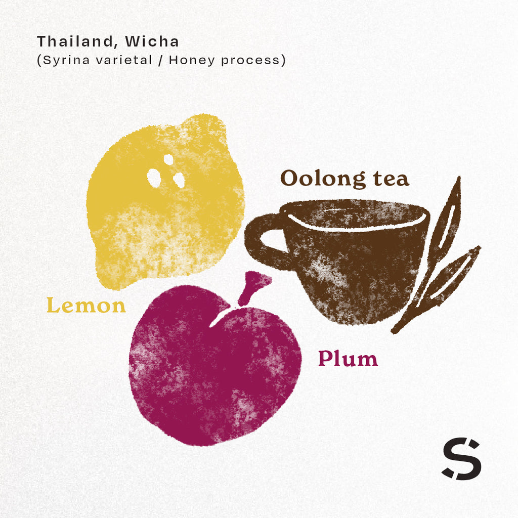 Wicha (Syrina varietal/Honey process)